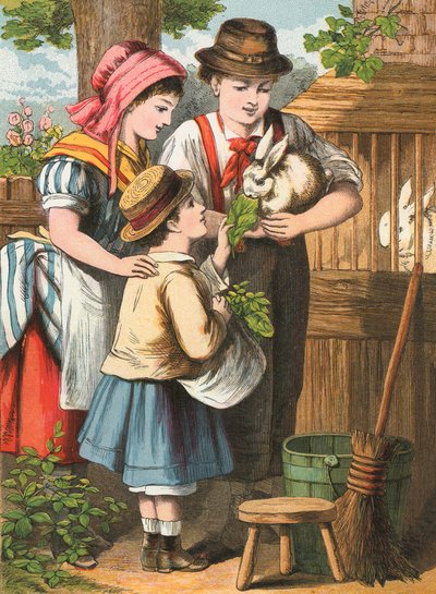 Feeding the Rabbit by English School